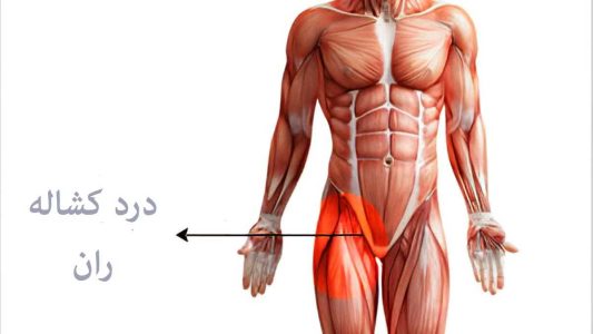 آیا درمان خانگی درد کشاله ران وجود دارد و چگونه انجام می شود؟