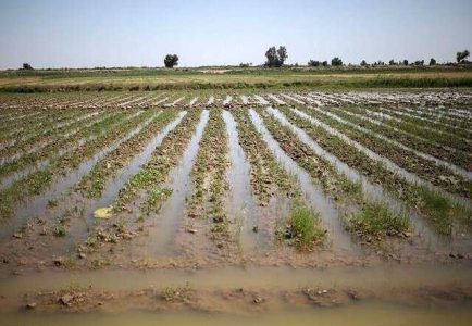 کشاورزی پر آب‌ترین شهر خراسان رضوی درگیر با خشکسالی
