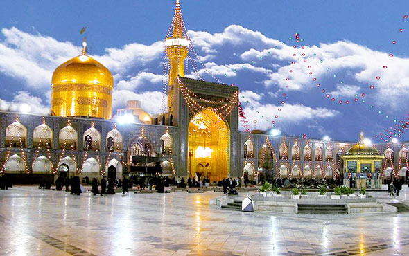 خرید قهوه گانودرما در مشهد اصل دکتر بیز